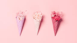 Pink Ice Cream Cone Filled with Flowers  image 11