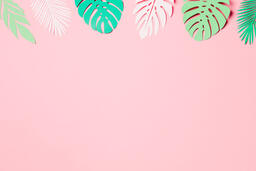 Tropical Paper Leaves on Pink Background  image 8