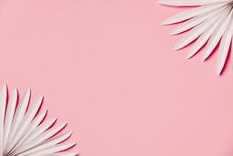 White Palm on Pink Background  image 2