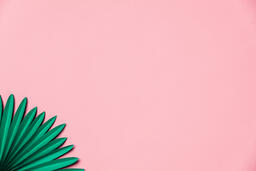 Green Palms on Pink Background  image 9