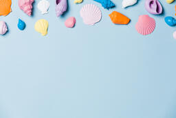 Painted Sea Shells on Blue Background  image 14