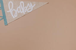 Baby Pennant Flag  image 5