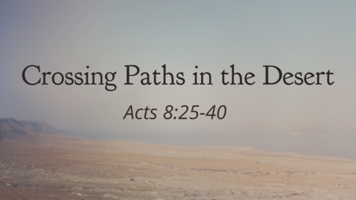 Crossing Paths in the Desert