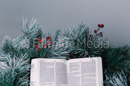 Bible Open to the Christmas Story with Greenery and Berries