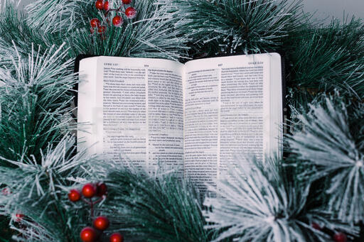 Bible Open to the Christmas Story with Greenery and Berries