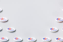 I Voted Stickers  image 6