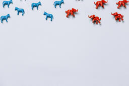 Blue Donkeys and Red Elephants  image 7