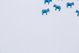 Blue Donkeys and Red Elephants  image 6
