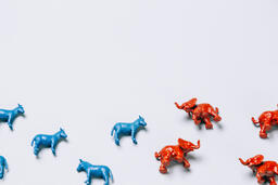 Blue Donkeys and Red Elephants  image 13