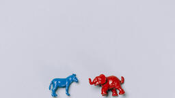 Blue Donkeys and Red Elephants  image 12