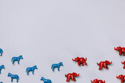 Blue Donkeys and Red Elephants  image 1
