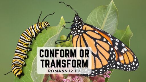 Conform Or Transform Part 2