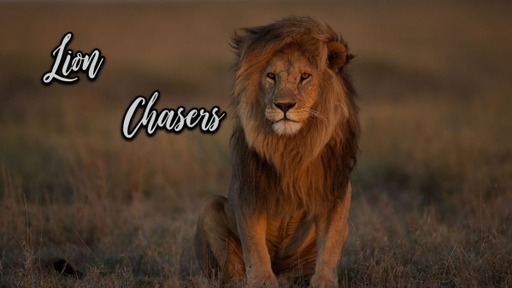 Lion Chasers