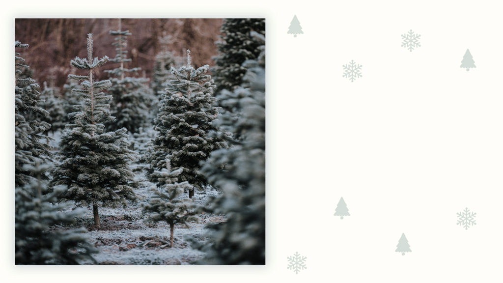 {Church Name} Christmas Tree Hunt large preview