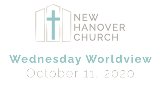 Wednesday Worldview 11/11/2020