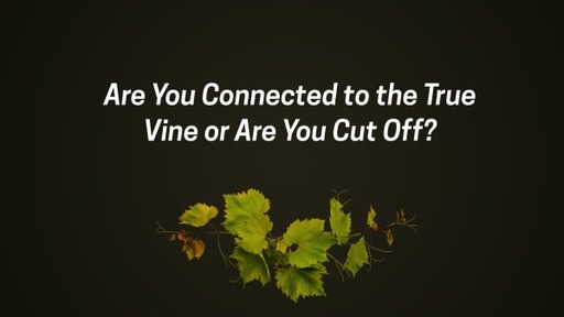 Are You Connected to the True Vine or Are You Cut Off?