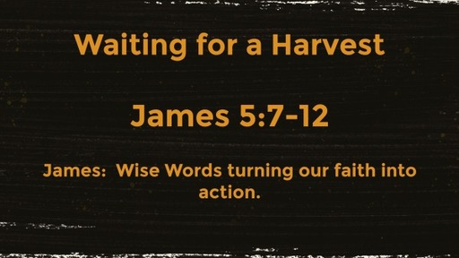 james 5:7-12