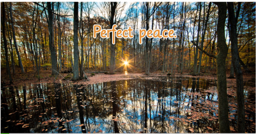 Reflections Series, Ep. 10: Perfect Peace