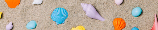 Painted Sea Shells on Sand