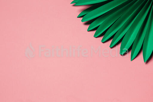 Green Palms on Pink Background