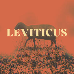 Leviticus Orange  PowerPoint image 6