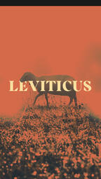 Leviticus Orange  PowerPoint image 7