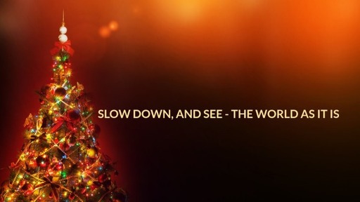Slow Down, and See - The World As It Is