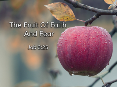The Fruit Of Fear And Faith