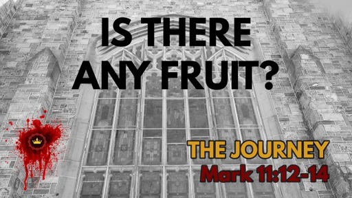 Is There Any Fruit?: Mark 11:12-14