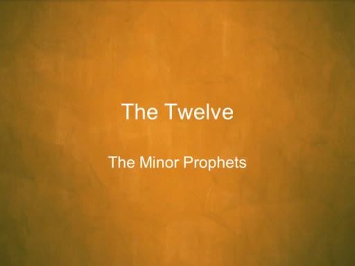 OT II: Minor Prophets-Intro