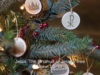 Jesus, the Firstfruit of Jesse's Tree