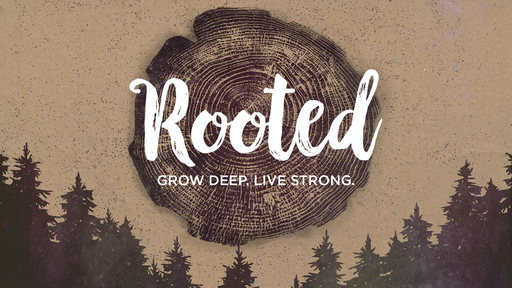 Rooted - The Word of God Luke 24:13-35