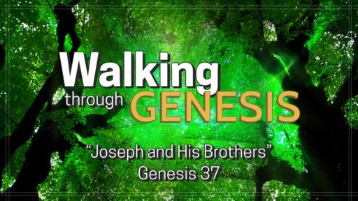 Joseph and His Brothers (Genesis 37)