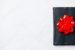 Bible with a Red Gift Bow on It  image 2