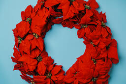 Red Poinsettia Wreath  image 2