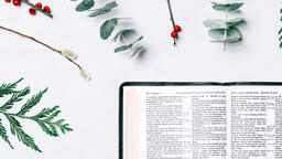 Open Bible with Christmas Florals  image 5