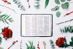 Open Bible with Christmas Florals  image 4