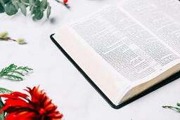 Open Bible with Christmas Florals  image 1