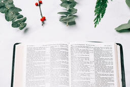 Open Bible with Christmas Florals  image 7