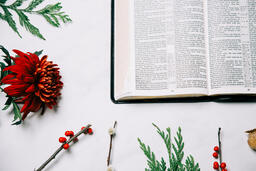 Open Bible with Christmas Florals  image 3