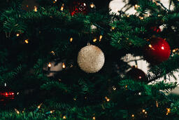 Ornaments on a Christmas Tree  image 3