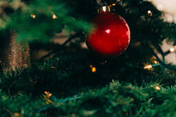 Ornaments on a Christmas Tree  image 14