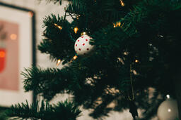 Ornaments on a Christmas Tree  image 4