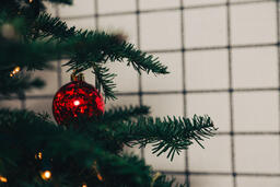 Ornaments on a Christmas Tree  image 7