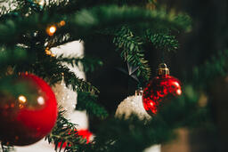 Ornaments on a Christmas Tree  image 10