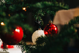 Ornaments on a Christmas Tree  image 12