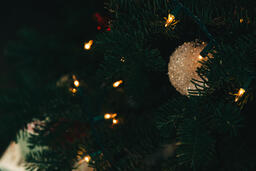 Ornaments on a Christmas Tree  image 1