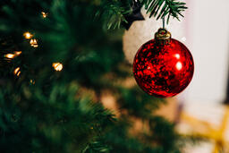 Ornaments on a Christmas Tree  image 9