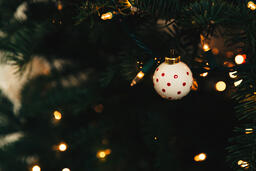 Ornaments on a Christmas Tree  image 11