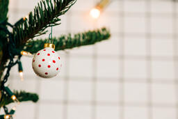 Ornaments on a Christmas Tree  image 6